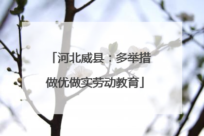 河北威县：多举措做优做实劳动教育